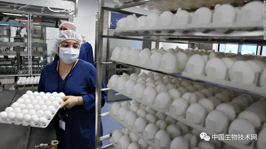 最新流感疫苗，科技助力健康新生活保護(hù)您免受流感侵襲