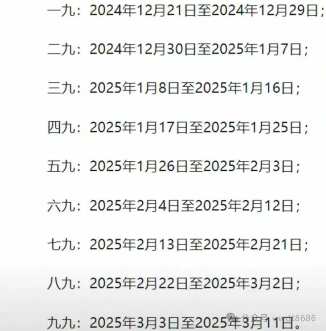 最新久久網2025，友情小船與溫馨日常的交織