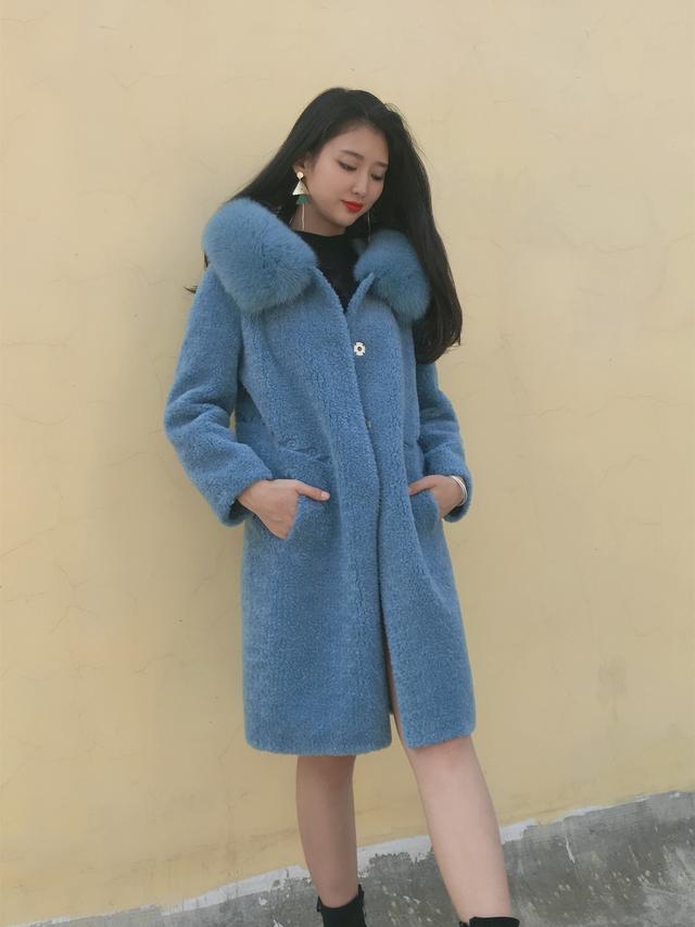 三七花最新價(jià)格揭秘，溫馨小故事中的尋找之旅