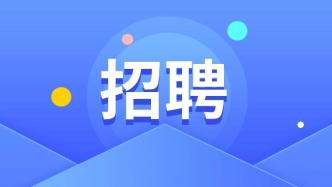 海淀最新招聘動態(tài)解析及招聘信息概覽