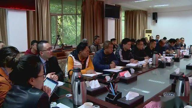 德昌最新新聞，擁抱自然，心靈寧靜之旅啟程