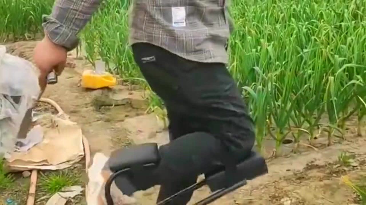 最新挖蒜工具，心靈與自然的完美交融