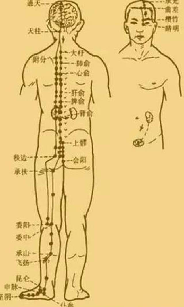 最新經(jīng)絡(luò)操，探索古老奧秘，重塑健康身姿