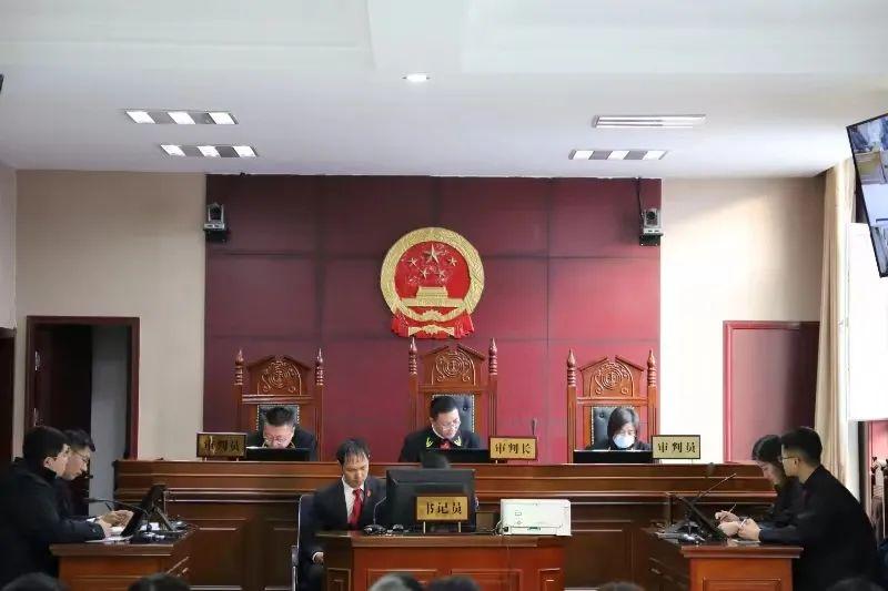偏關(guān)最新案件深度解析，揭示真相，關(guān)注社會(huì)公正與公平