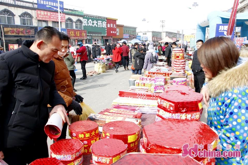淘元素最新，淘淘的奇妙冒險(xiǎn)之旅與友情的溫暖體驗(yàn)