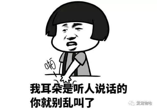最新枕邊笑話，科技小寶貝，生活添樂趣