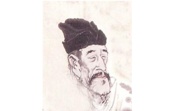 最新孤雁圖片，展現(xiàn)自然之美與深意的瞬間