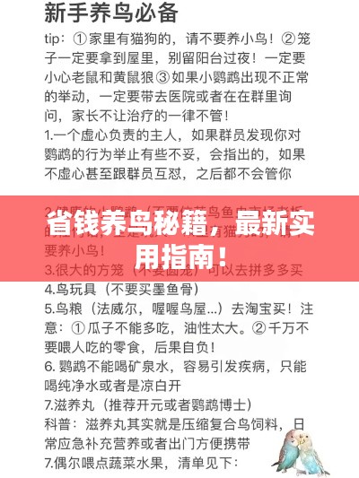 最新養(yǎng)鳥法規(guī)解析，觀點(diǎn)闡述與深度探討