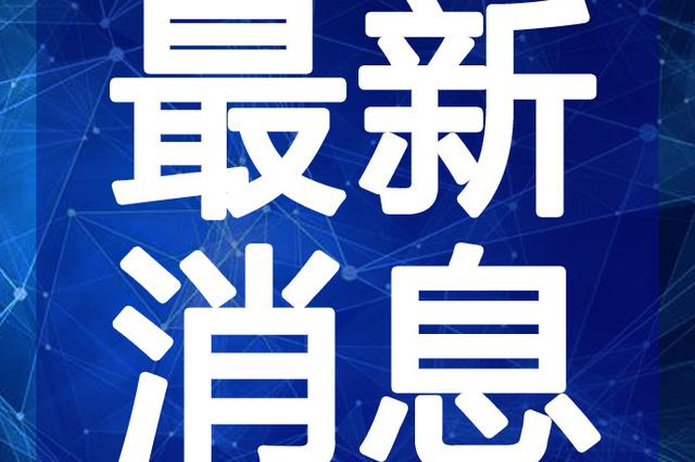 最新半仙視頻深度解析與觀點闡述，揭秘內(nèi)容魅力與獨特之處