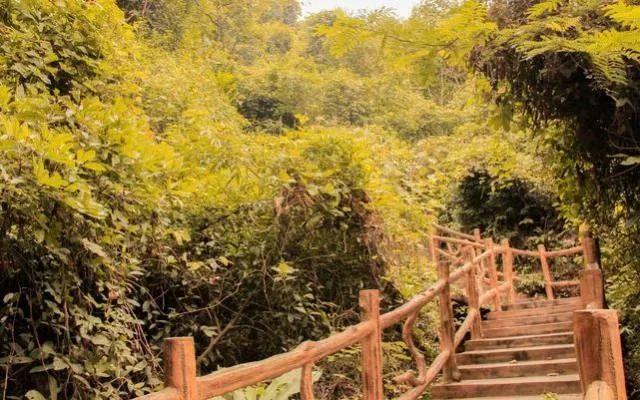 小99最新，科技、生活與娛樂的交融之地