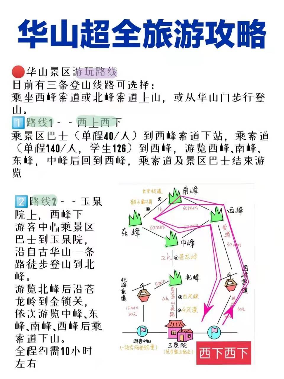 華山旅游最新探秘，小巷中的獨特風味之旅