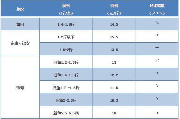 探索海鮮市場秘密，最新鱸魚價格一覽
