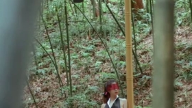 原野小年最新風情，小巷深處的獨特魅力