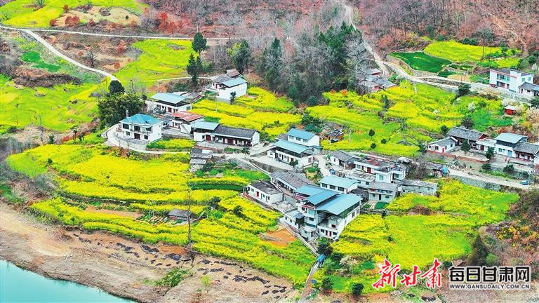 揭秘文縣，歷史背景、重大事件與時代地位全景展示