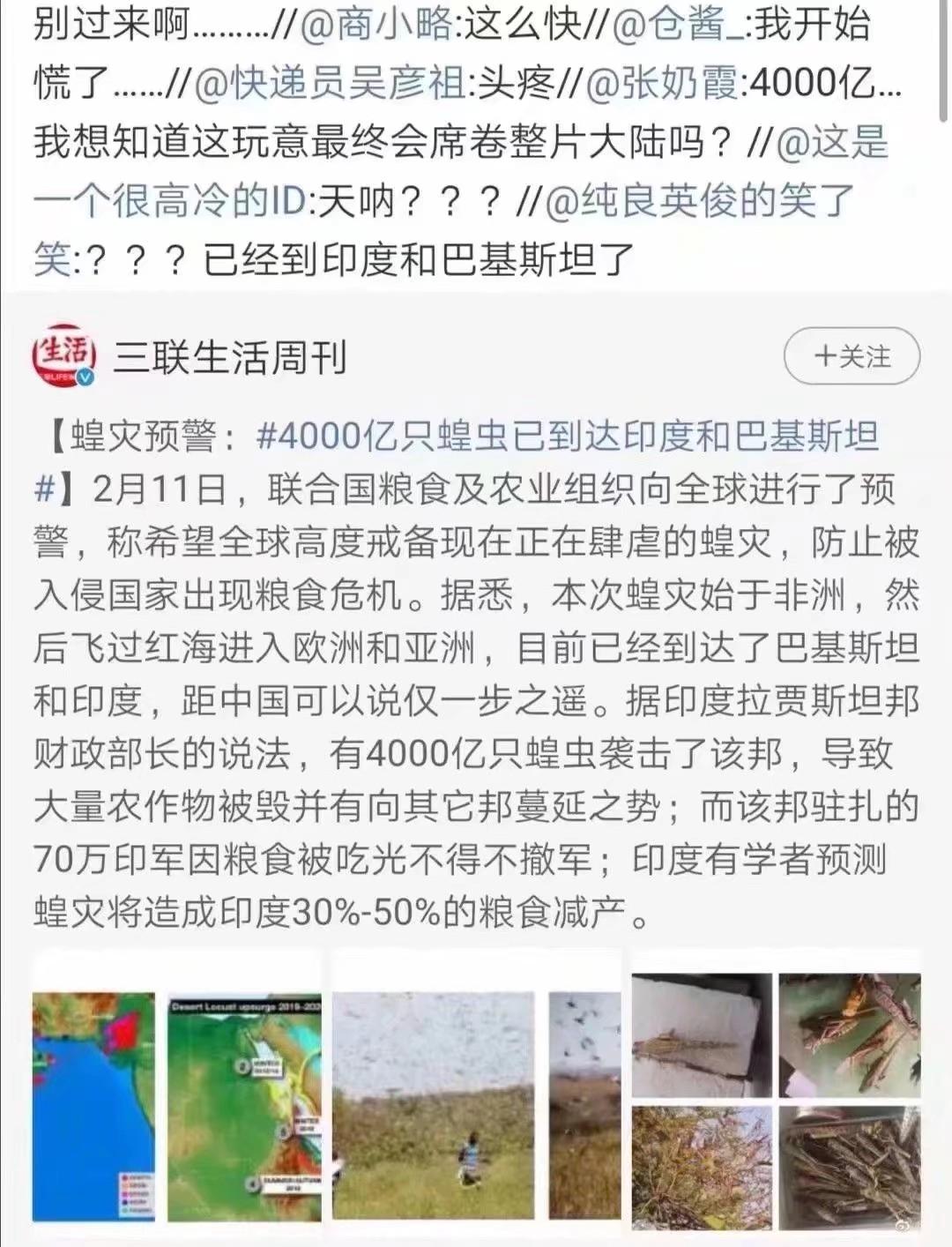 蝗蟲最新動(dòng)態(tài)，防治與監(jiān)測(cè)的全面指南