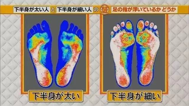 最新地趾論述，探索、爭議與觀點綜述