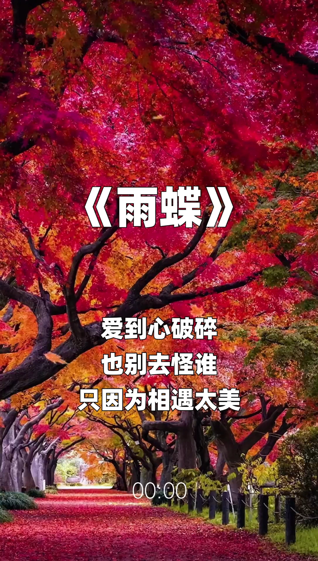 雨蝶最新步驟指南，如何完成任務(wù)或?qū)W習(xí)技能？