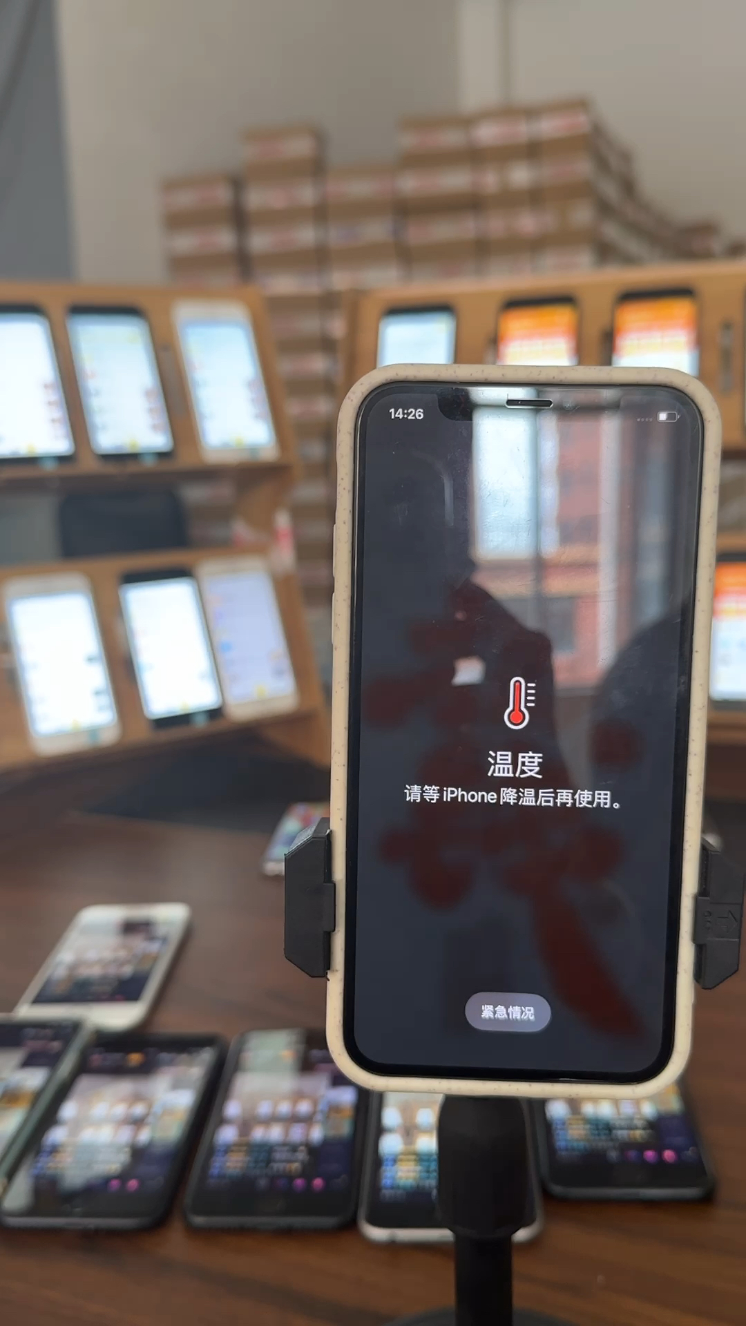 蘋果最新直播，科技與文化的完美融合盛宴