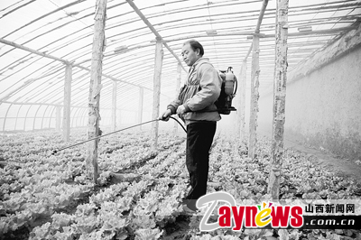 最新農藥抽檢結果出爐，守護農田安全，你我他的共同責任