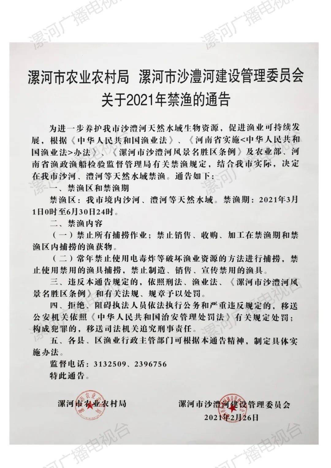 漯河最新通告，探索自然美景，尋覓內心寧靜與平和之旅