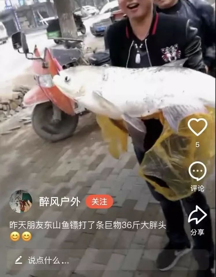 射魚(yú)神器進(jìn)化升級(jí)，學(xué)習(xí)變革與自信成就之源