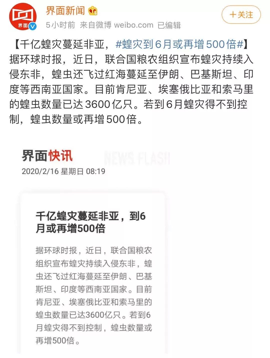 世界蝗災(zāi)最新動態(tài)，探索自然美景的輕松之旅