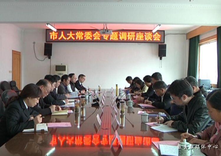 安徽歙縣最新動態(tài)，小巷深處的驚喜