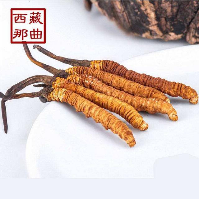 揭秘2025年蟲草最新價(jià)格，探尋小巷中的秘密行情！