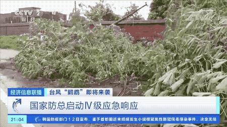 超強臺風鸚鵡來襲，最新路徑動態(tài)全解析???