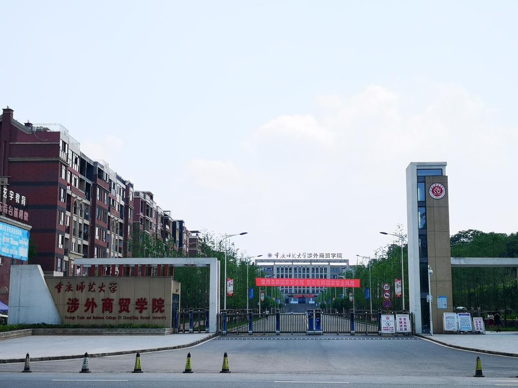 最新本科專業(yè)探秘，小巷中的隱藏寶藏之門