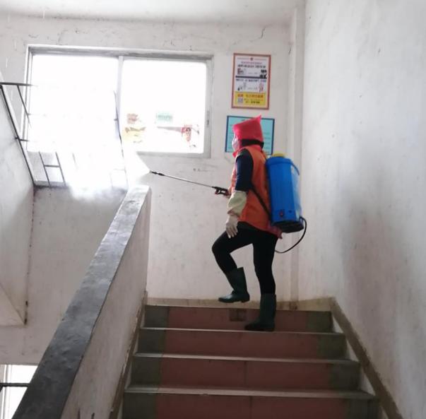 蓬江區(qū)最新高科技住宅，重塑未來生活體驗的首選之地
